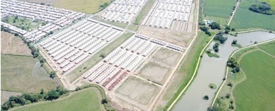 50_Eden_del_Parque_Feb_2026