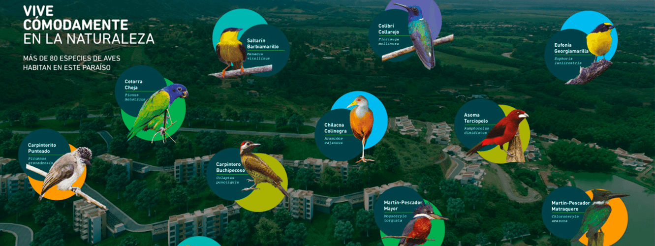 LAKE, un paraíso con más de 80 especies de aves