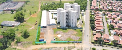 01_Palmeras_Nov2022