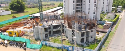 03_Palmeras_Mar2023