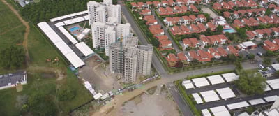 06_Palmeras_Sep2023