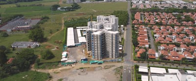 07_Palmeras_Nov2023