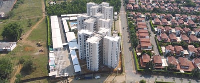 08_Palmeras_Ene2024