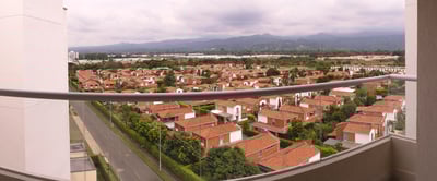 Palmeras_001