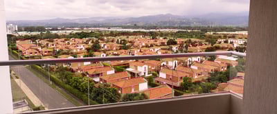 Palmeras_002