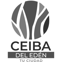 Ceiba-non