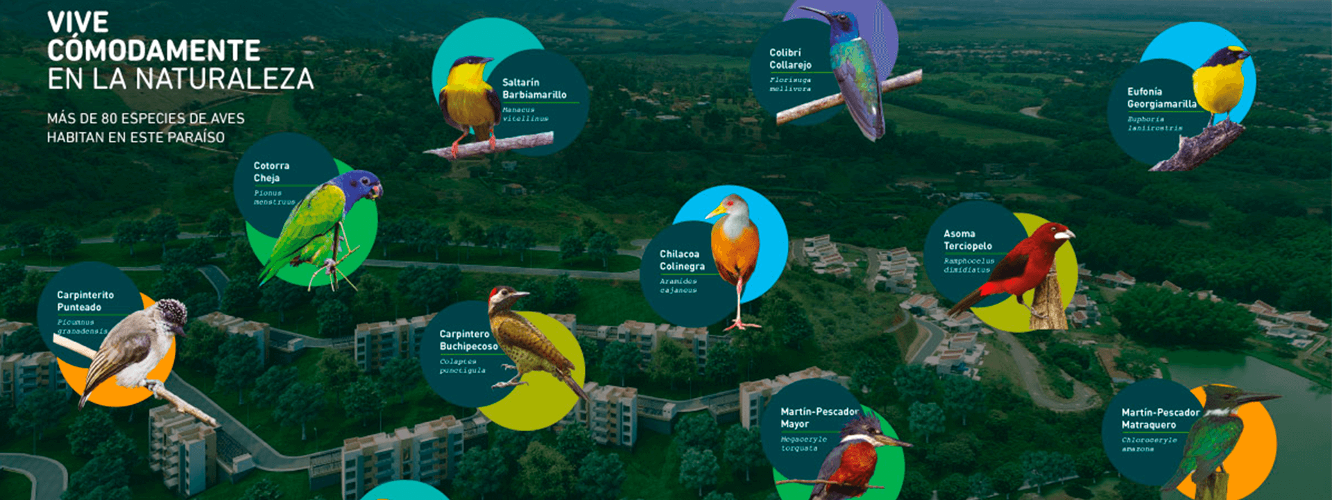 LAKE, un paraíso con más de 80 especies de aves